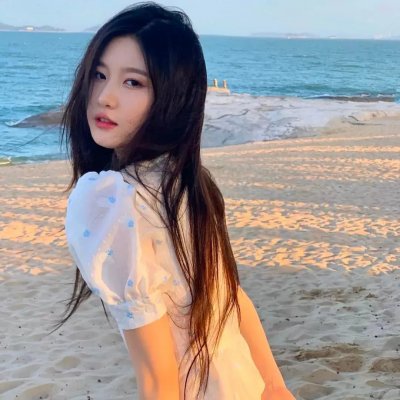 美国紫罗兰