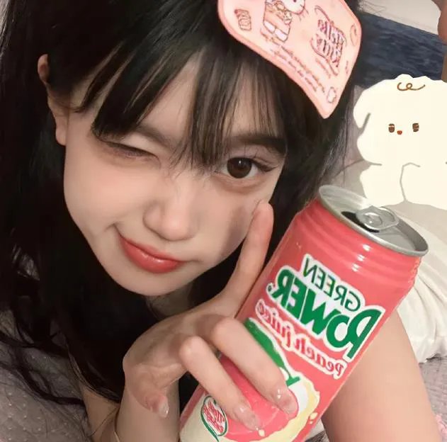 佛兰德斯的狗